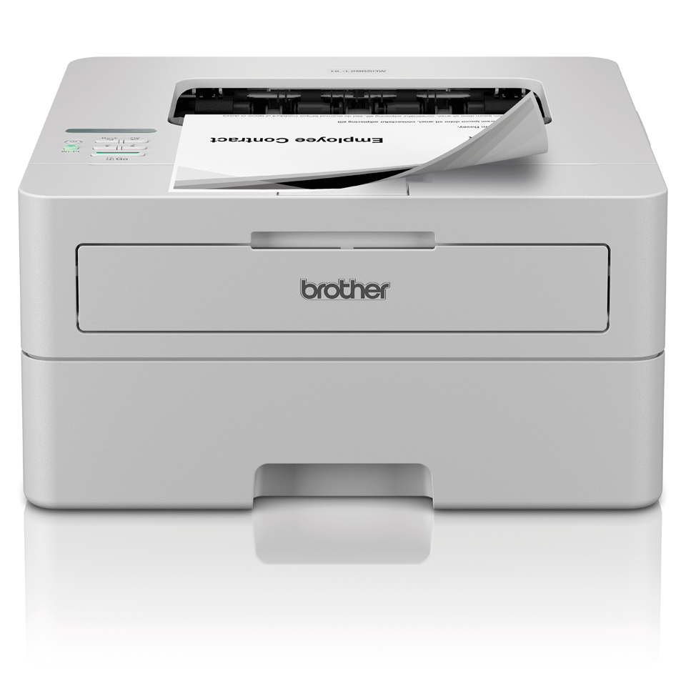 Принтер Brother HL L2865DW